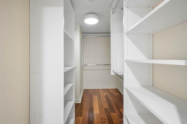 spacious closet with dark wood-type flooring