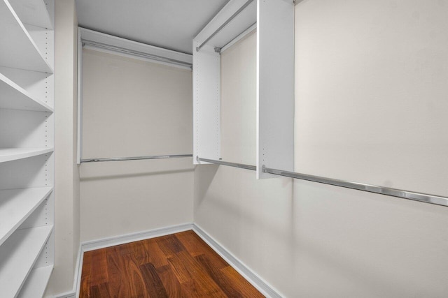 spacious closet featuring dark hardwood / wood-style flooring