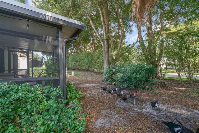 view of yard with a sunroom