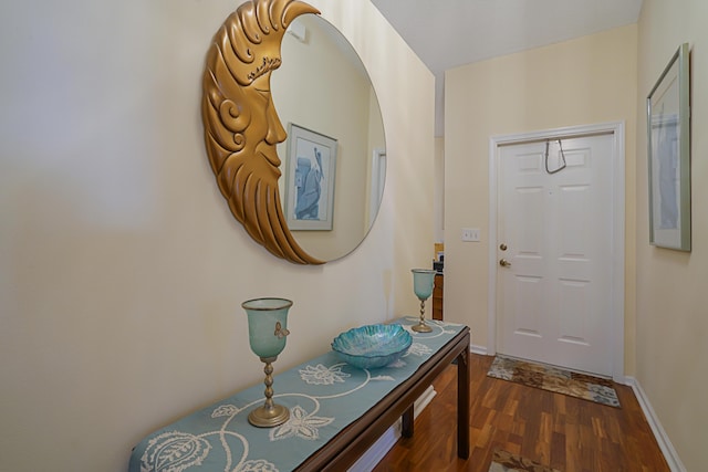 foyer with dark wood-type flooring