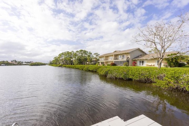 dock area with a water view