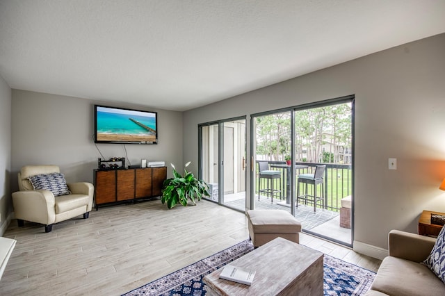 living room with light hardwood / wood-style flooring