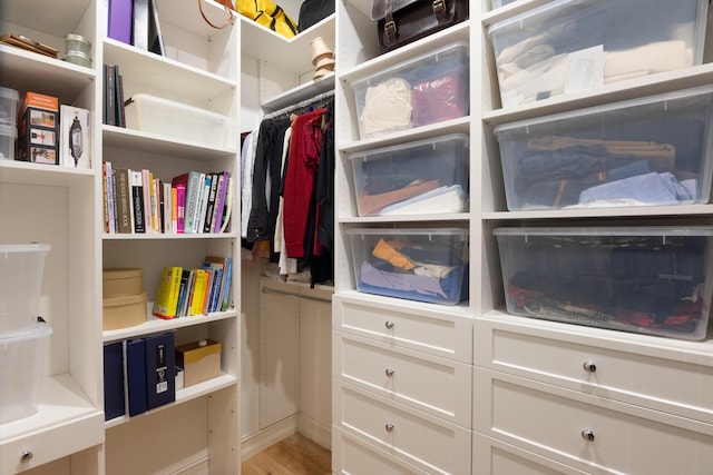 walk in closet with wood-type flooring