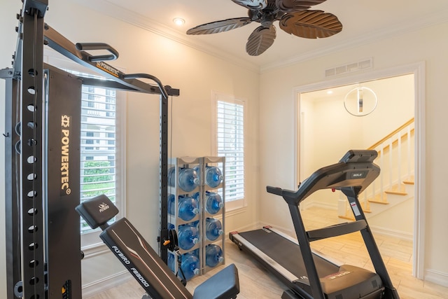 workout room featuring ceiling fan, a healthy amount of sunlight, ornamental molding, and wood-type flooring