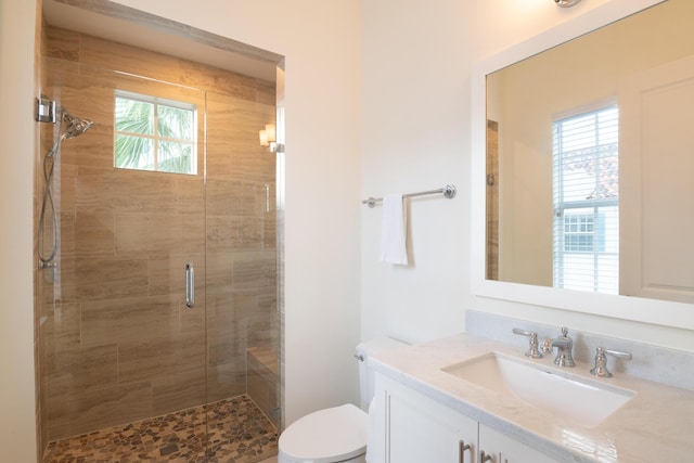 bathroom with vanity, toilet, and a shower with door