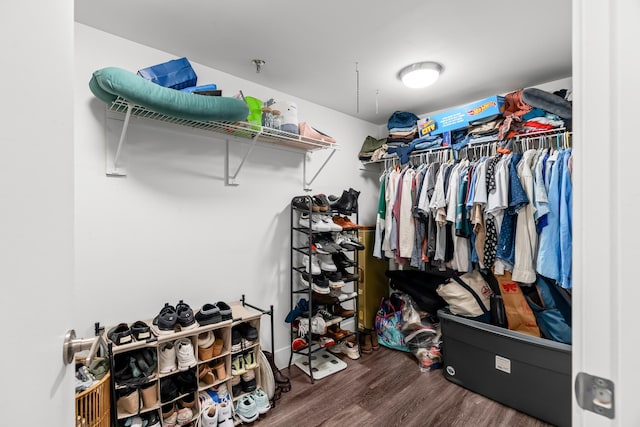 walk in closet with hardwood / wood-style flooring