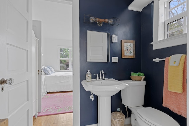 bathroom featuring toilet, wood-type flooring, plenty of natural light, and sink