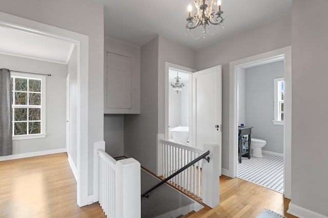 corridor with light hardwood / wood-style floors and a chandelier