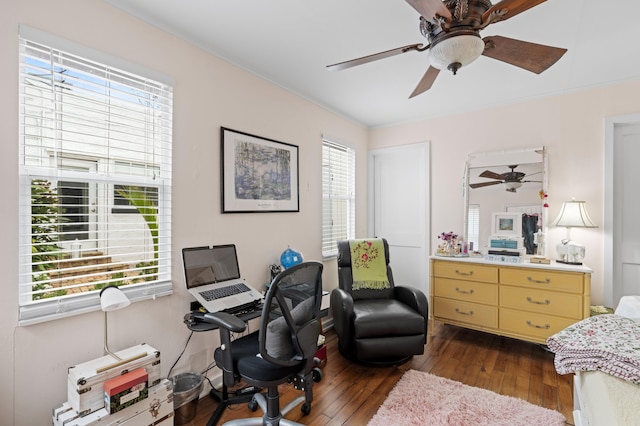 office with dark hardwood / wood-style flooring and a healthy amount of sunlight