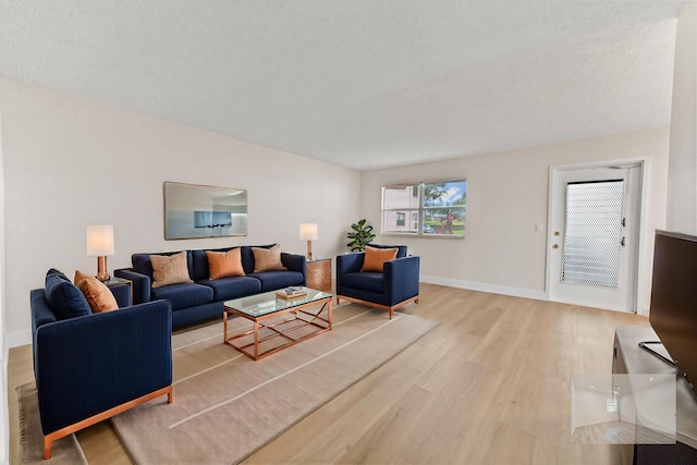 living room featuring wood-type flooring