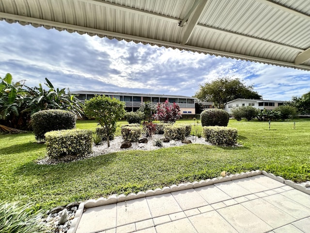 view of yard featuring a patio