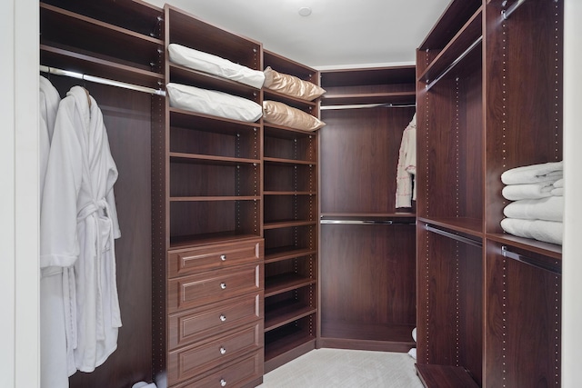 view of spacious closet