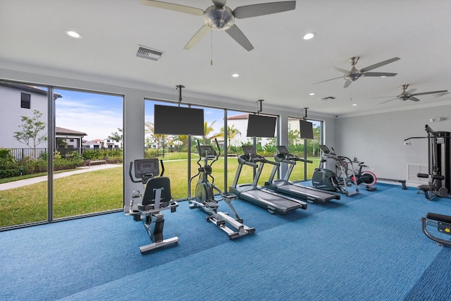 workout area featuring a healthy amount of sunlight and carpet floors