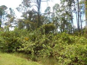 1207 Dayton Ave, Lehigh Acres, FL 33972