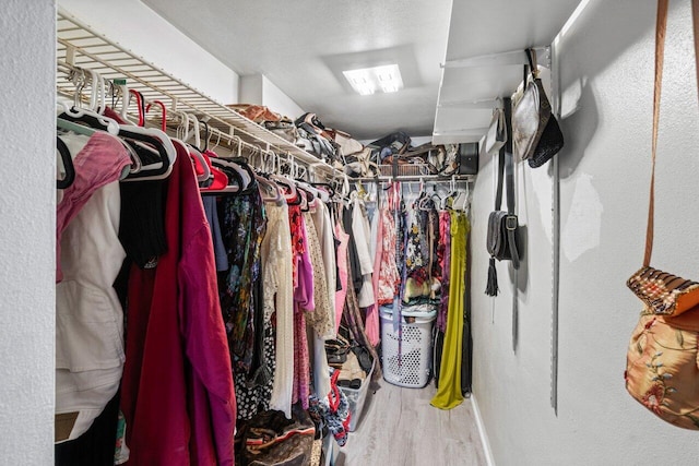 spacious closet featuring hardwood / wood-style flooring