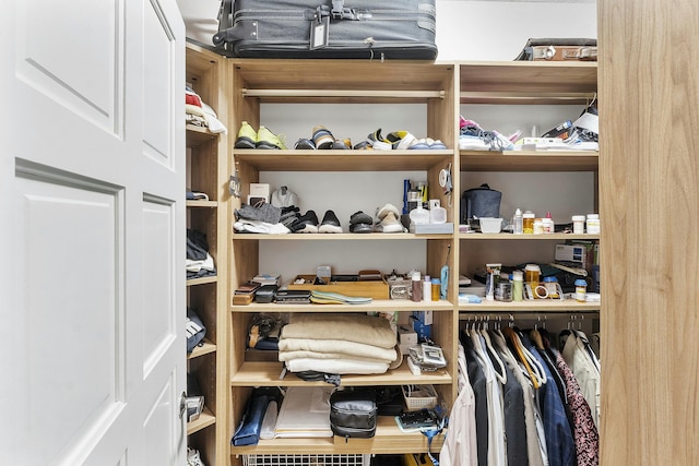 view of spacious closet