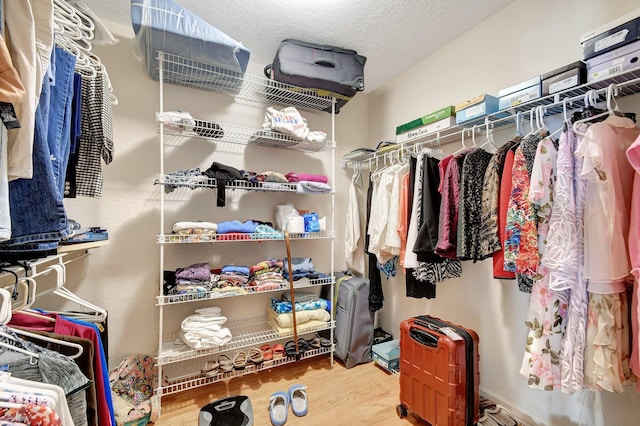 walk in closet featuring hardwood / wood-style floors