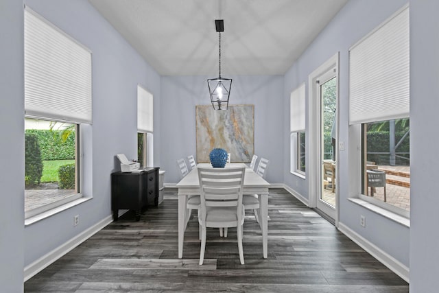 dining room with dark hardwood / wood-style floors and a wealth of natural light