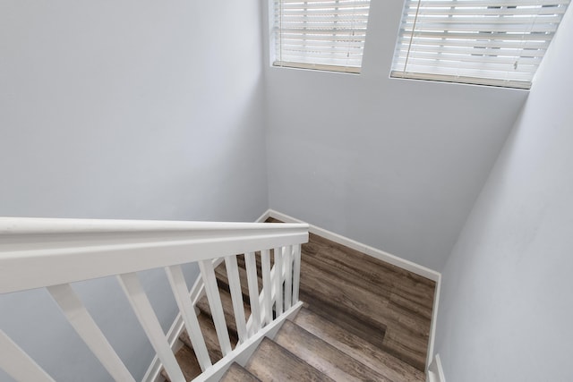 stairway featuring hardwood / wood-style floors