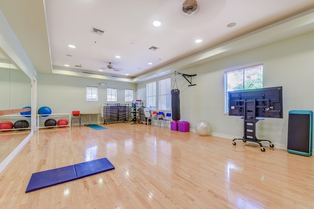 workout room with hardwood / wood-style floors and a tray ceiling