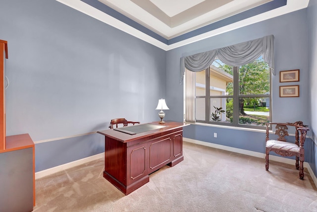 office area with light colored carpet