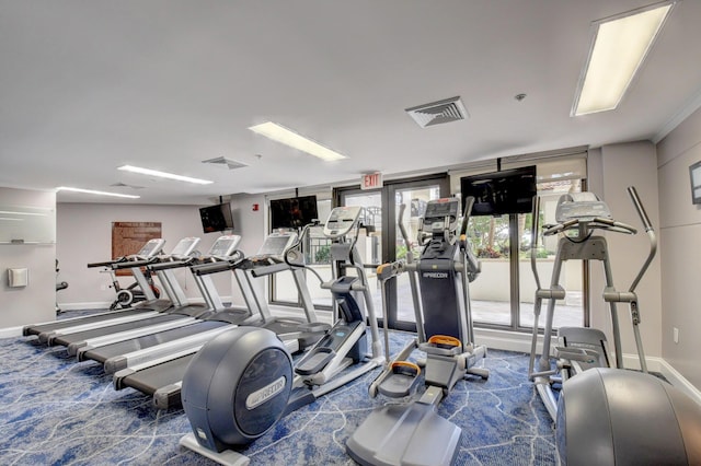 exercise room featuring carpet flooring