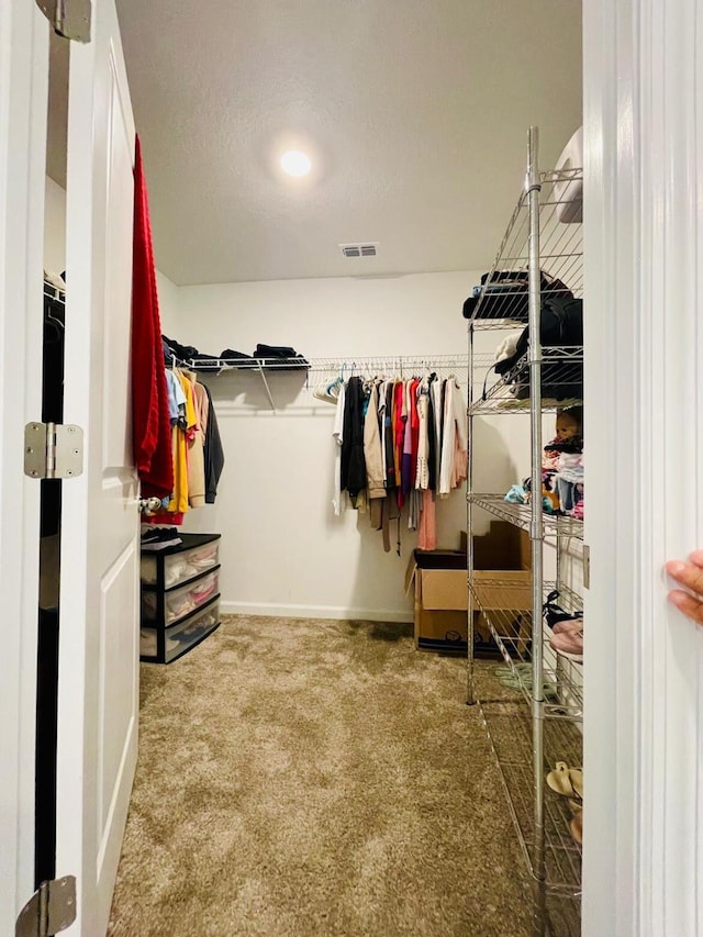 walk in closet with carpet