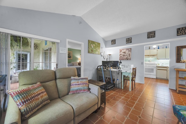 living room featuring vaulted ceiling and dark tile patterned flooring