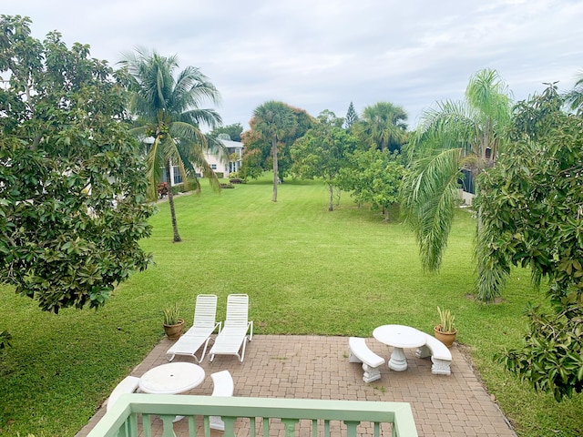 view of yard with a patio area