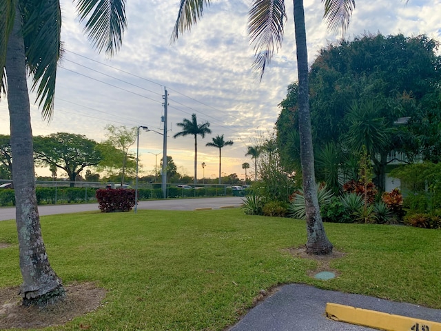 view of property's community with a yard