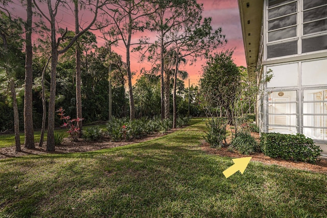 view of yard at dusk