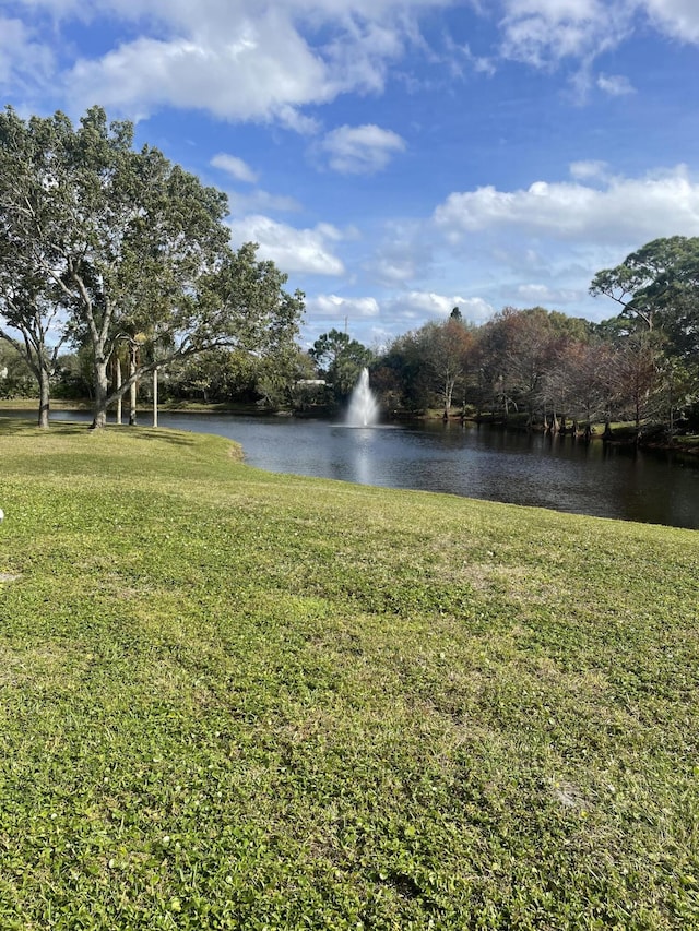 view of water feature