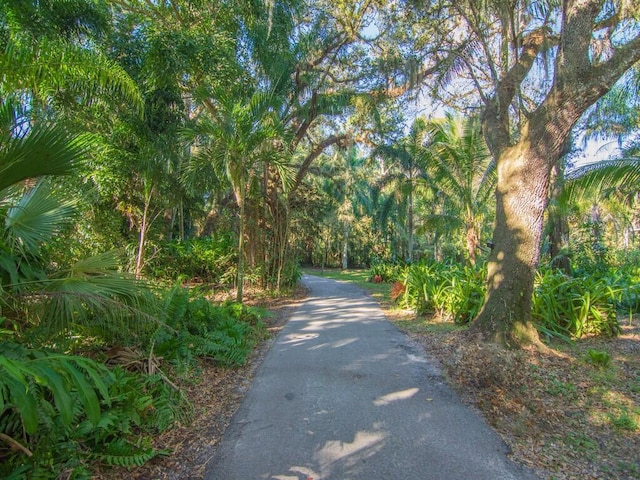 view of road