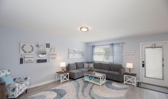 living room featuring hardwood / wood-style floors