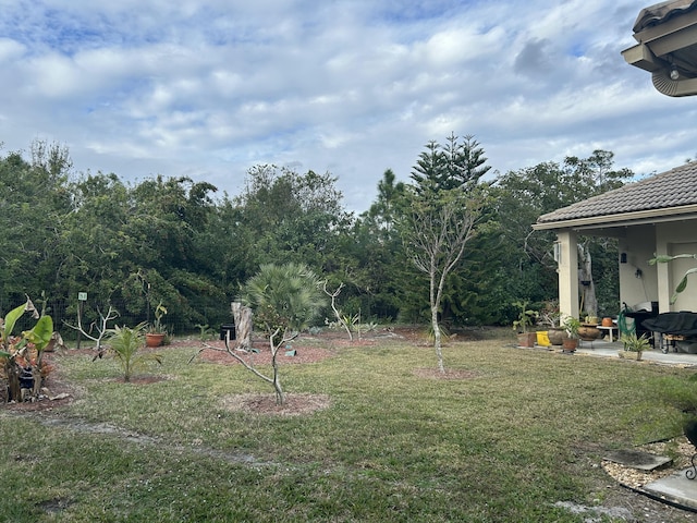 view of yard with a patio area