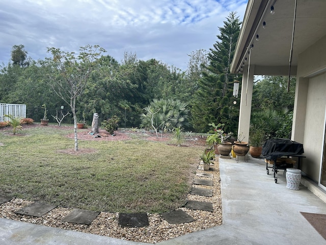 view of yard featuring a patio