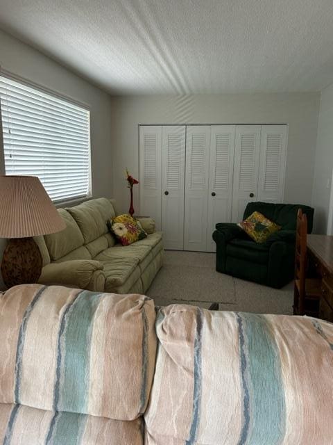 living room featuring a textured ceiling