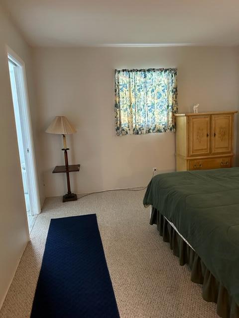 bedroom with light colored carpet