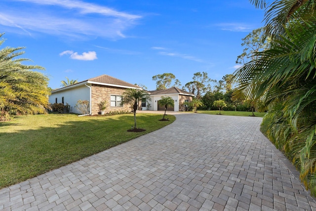 ranch-style house with a front yard