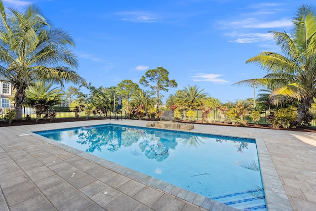 view of swimming pool with a patio