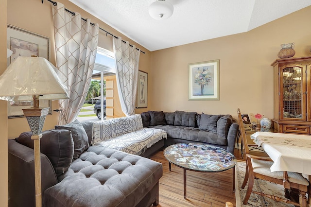 living room with hardwood / wood-style flooring