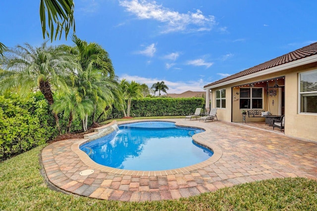 view of pool with a patio