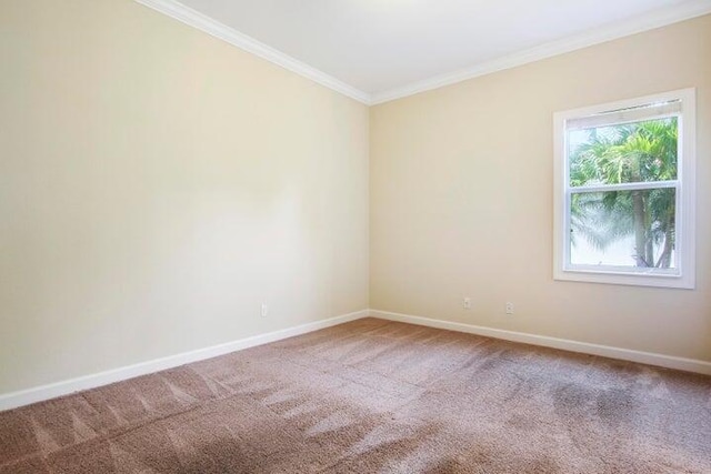 unfurnished room featuring carpet and ornamental molding