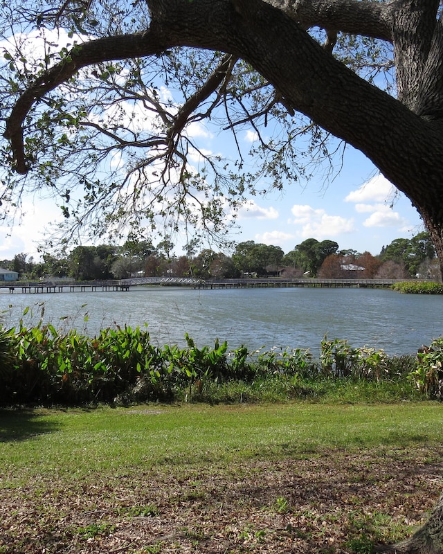 property view of water