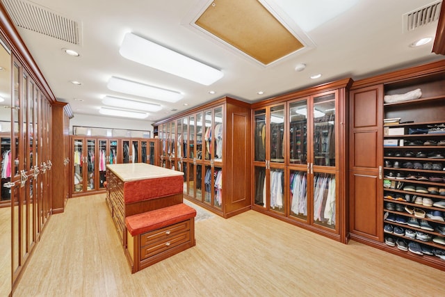 spacious closet featuring light hardwood / wood-style flooring