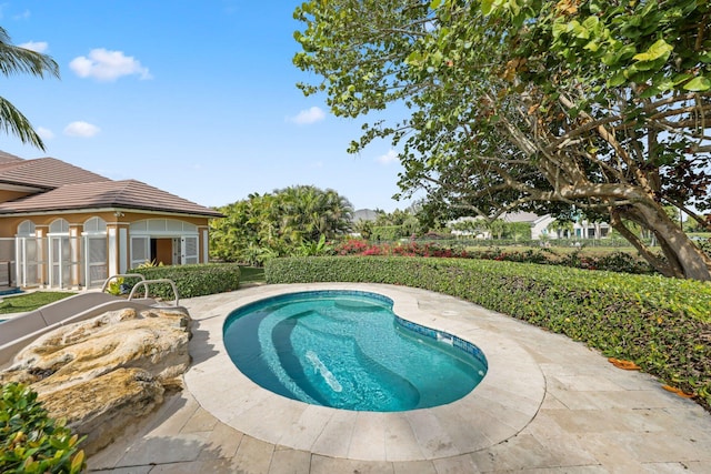 view of pool featuring a patio