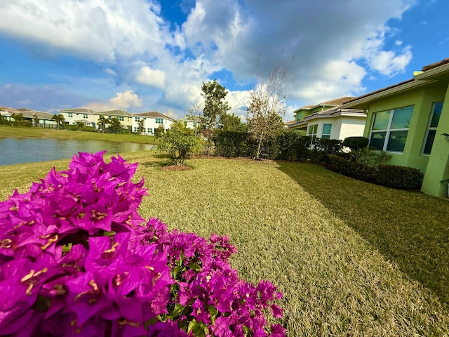 view of yard featuring a water view