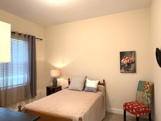 bedroom with carpet floors