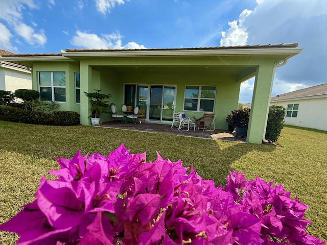 rear view of house with a patio and a yard