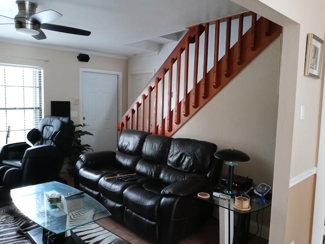 living room with ceiling fan and ornamental molding